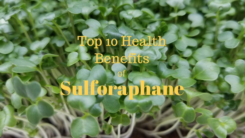 Top 10 Ways Sulforaphane Can Improve Your Health and Wellbeing